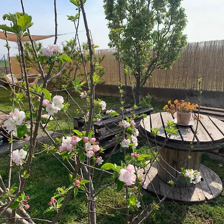 Corte Castella Bed & Breakfast Mantova